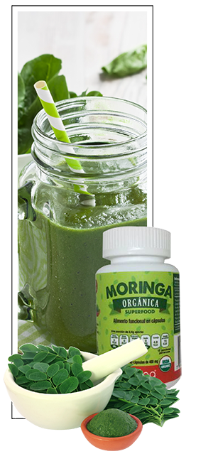 Moringa en Cápsulas