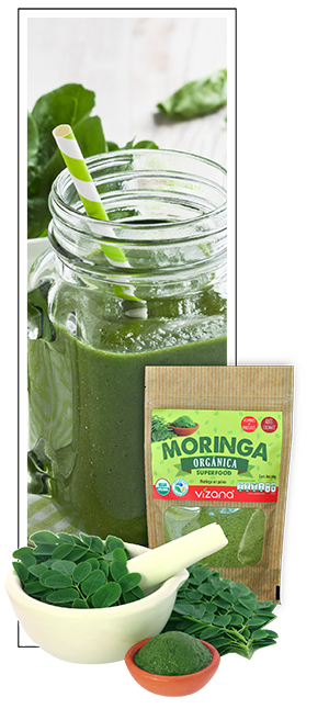 moringa vizana 01