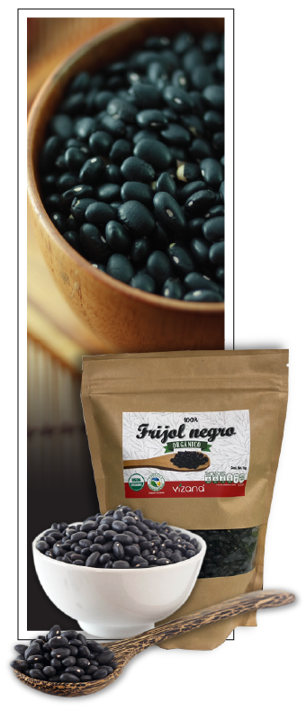 Frijol negro organico 01