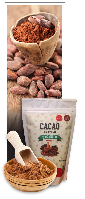 cacao organicoPolvo 01